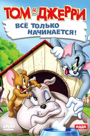 Постер к мультфильму Кот играет в боулинг